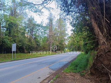 ¡Oportunidad! Terreno a Orilla de Carretera Turística  Coñaripe a Panguipulli con vista a Lago.
