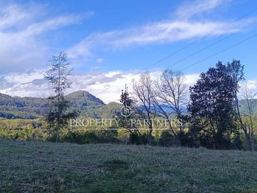¡Oportunidad! Terreno a Orilla de Carretera Turística  Coñaripe a Panguipulli con vista a Lago.