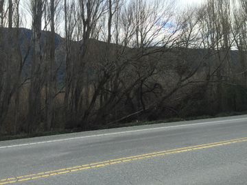 Chacra en El Hoyo sobre ruta Nacional 40