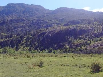 Chacra en El Hoyo sobre ruta Nacional 40