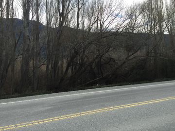 Chacra en El Hoyo sobre ruta Nacional 40