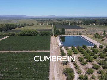 Excepcional Viñedo de 50 Ha. en Salto de las Rosas