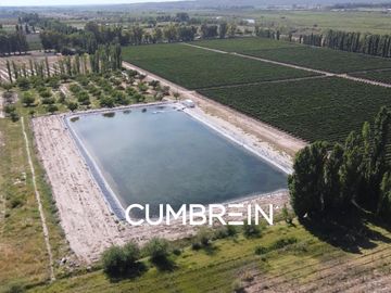 Excepcional Viñedo de 50 Ha. en Salto de las Rosas