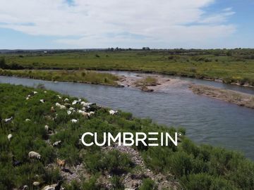 Excepcional Viñedo de 50 Ha. en Salto de las Rosas