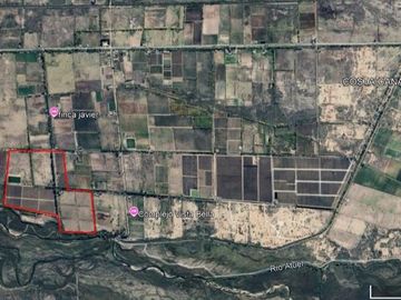 Excepcional Viñedo de 50 Ha. en Salto de las Rosas