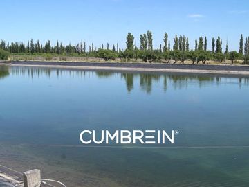 Excepcional Viñedo de 50 Ha. en Salto de las Rosas