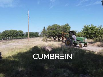 Excepcional Viñedo de 50 Ha. en Salto de las Rosas