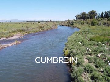 Excepcional Viñedo de 50 Ha. en Salto de las Rosas