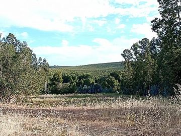 FOCOLARE PROPIEDADES VENDE SITIO
