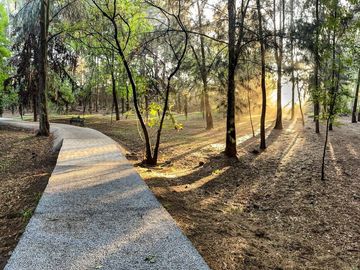VENTA CASA EN COLINAS DEL BOSQUE