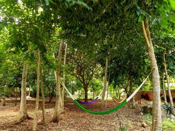Hacienda de 300 ha y cenote privado, en venta en Tecoh