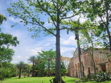 Hacienda de 300 ha y cenote privado, en venta en Tecoh