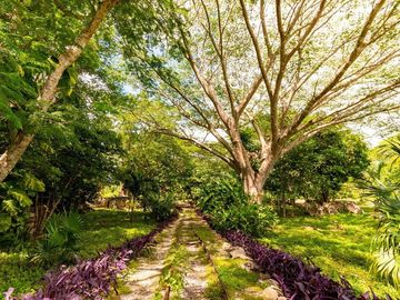 Hacienda de 300 ha y cenote privado, en venta en Tecoh