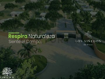 OPORTUNIDAD DE INVERSION PISCO