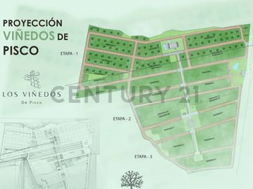 OPORTUNIDAD DE INVERSION PISCO