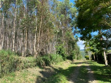 HERMOSA FINCA A LA VENTA EN EL CARMEN