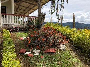 Venta Casa Finca Bello Horizonte, El Queremal, Dagua, Valle del Cauca