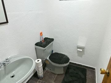 ¡Descubre tu nuevo hogar en Paseos del bosque!