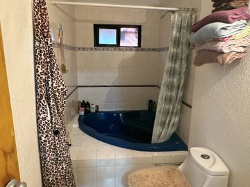 ¡Descubre tu nuevo hogar en Paseos del bosque!