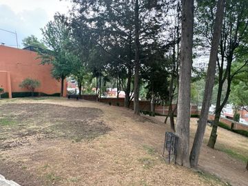 ¡Descubre tu nuevo hogar en Paseos del bosque!