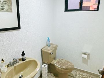 ¡Descubre tu nuevo hogar en Paseos del bosque!
