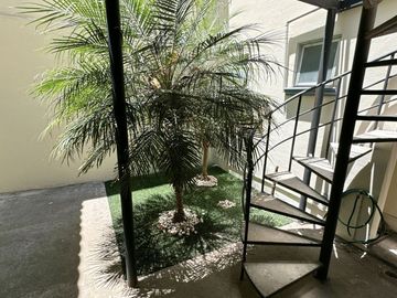 ¡Oportunidad única en Lomas de San Mateo!
