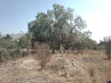 SE VENDE TERRENO 7,811 M2 UBICADO EN SAN MATEO XOLOC TEPOTZOTLÁN.