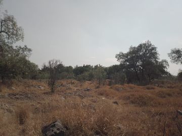 SE VENDE TERRENO 7,811 M2 UBICADO EN SAN MATEO XOLOC TEPOTZOTLÁN.