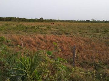 Rancho en venta Km 25 Escarcega-Villahermosa