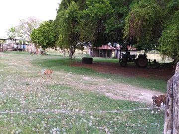 Rancho en venta Km 25 Escarcega-Villahermosa