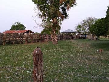 Rancho en venta Km 25 Escarcega-Villahermosa