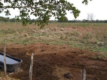 Rancho en venta Km 25 Escarcega-Villahermosa
