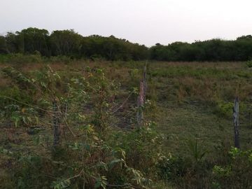 Rancho en venta Km 25 Escarcega-Villahermosa