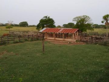 Rancho en venta Km 25 Escarcega-Villahermosa