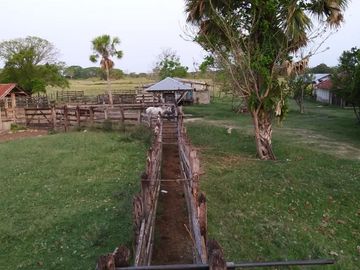 Rancho en venta Km 25 Escarcega-Villahermosa