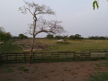 Rancho en venta Km 25 Escarcega-Villahermosa