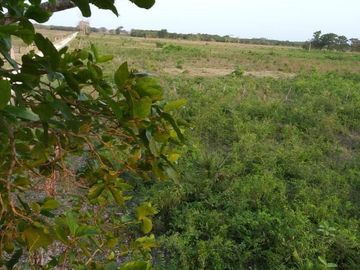 Rancho en venta Km 25 Escarcega-Villahermosa