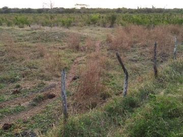 Rancho en venta Km 25 Escarcega-Villahermosa