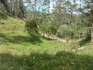 LOTE EN ARRIENDO SECTOR VEREDA EL ROSARIO