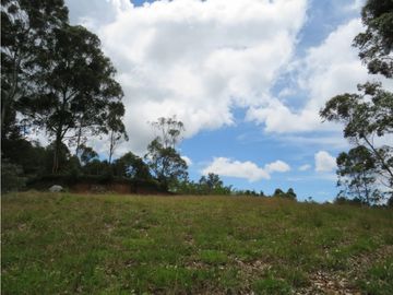 LOTE EN ARRIENDO SECTOR VEREDA EL ROSARIO