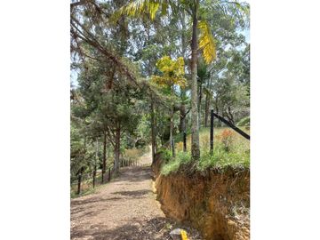 LOTE EN ARRIENDO SECTOR VEREDA EL ROSARIO