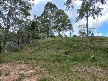 LOTE EN ARRIENDO SECTOR VEREDA EL ROSARIO