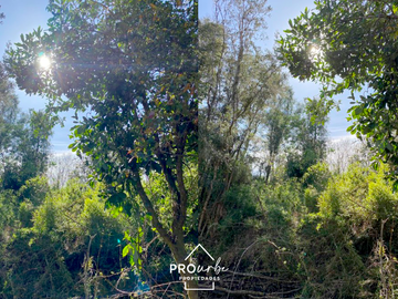 Parcela en Venta en Oportunidad Ultima parcela Venta en Verde Parcelación Agricola San Clemente