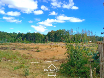 Terreno Construccion  en Venta en Oportunidad Ultima parcela Venta en Verde Parcelación Agricola San Clemente