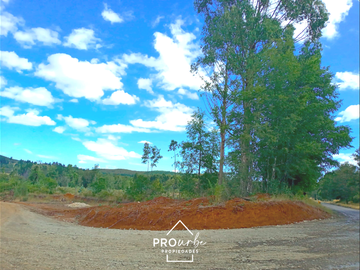 Terreno Construccion  en Venta en Oportunidad Ultima parcela Venta en Verde Parcelación Agricola San Clemente