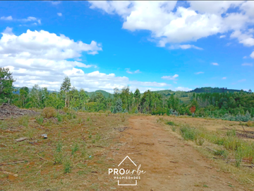 Terreno Construccion  en Venta en Oportunidad Ultima parcela Venta en Verde Parcelación Agricola San Clemente