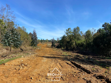 Terreno Construccion  en Venta en Oportunidad Ultima parcela Venta en Verde Parcelación Agricola San Clemente
