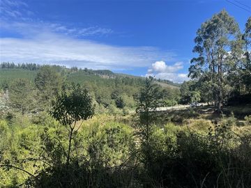 Sitio en Venta en Cerca de Carahue, ruta T-210