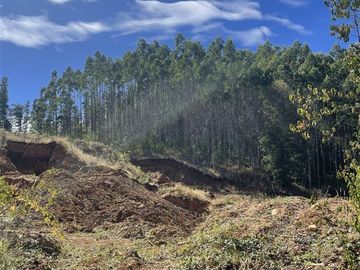 Sitio en Venta en Cerca de Carahue, ruta T-210