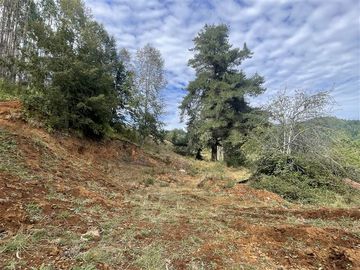 Sitio en Venta en Cerca de Carahue, ruta T-210